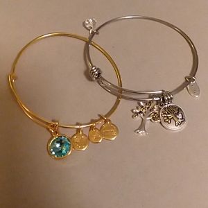 Two Charm Bracelets